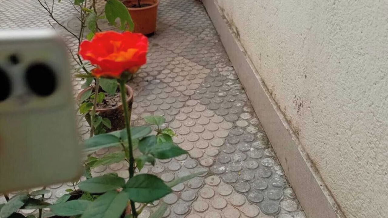 Photo of Outdoor in Sector V