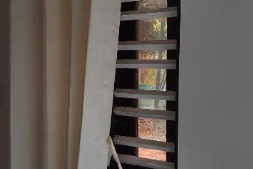 Photo of Others in Neyyattinkara