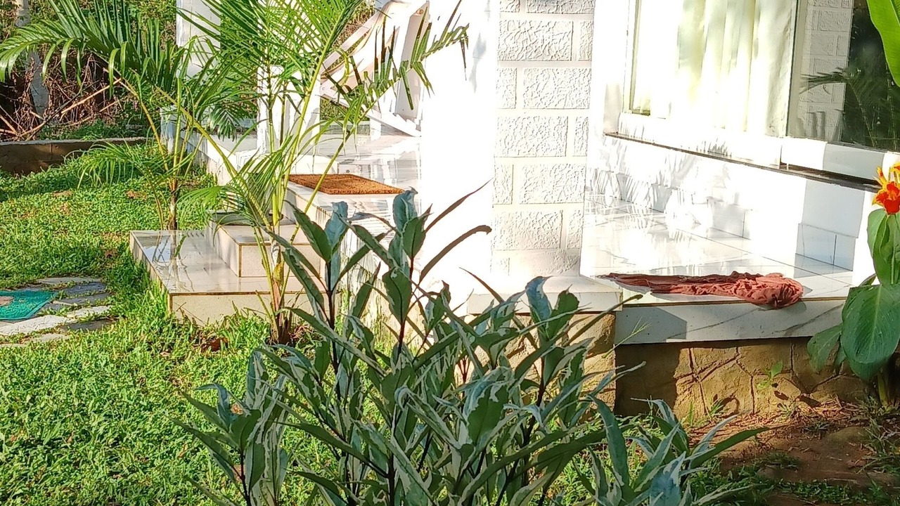 Photo of Outdoor in Neyyattinkara