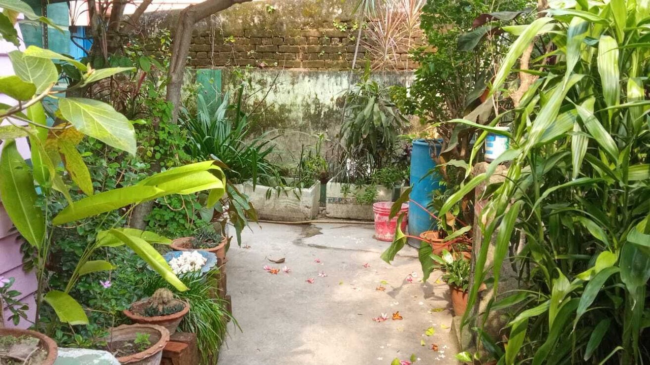 Photo of Outdoor in Purulia