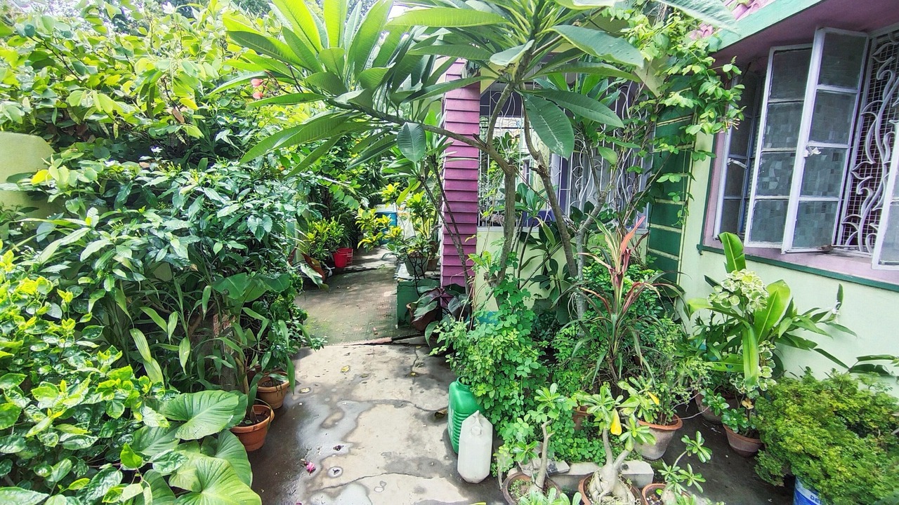 Photo of Outdoor in Purulia