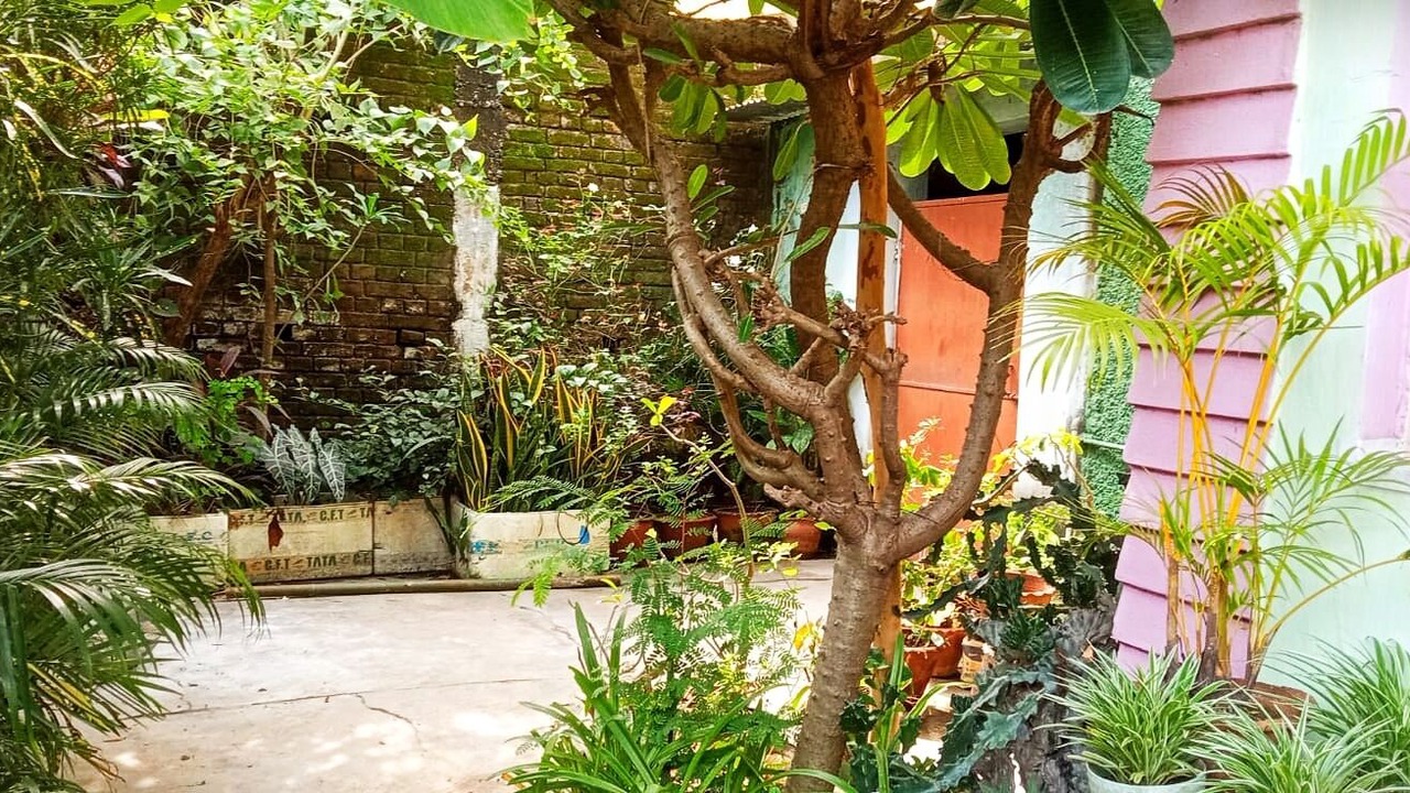 Photo of Outdoor in Purulia