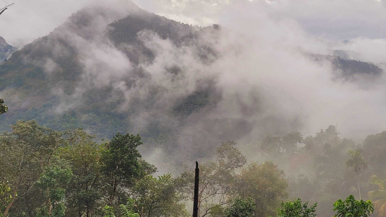 Photo of Others in Todupulai