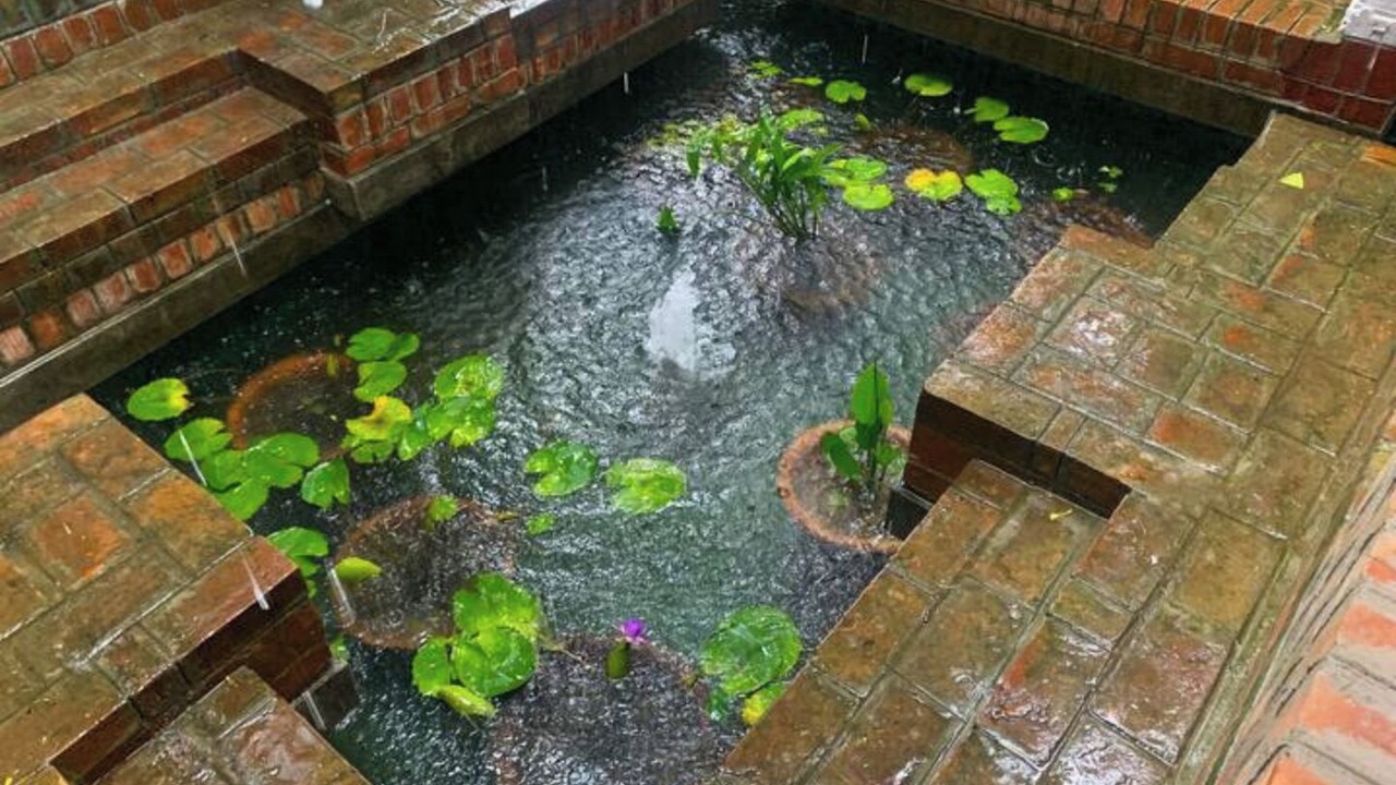 Photo of Outdoor in Bolpur