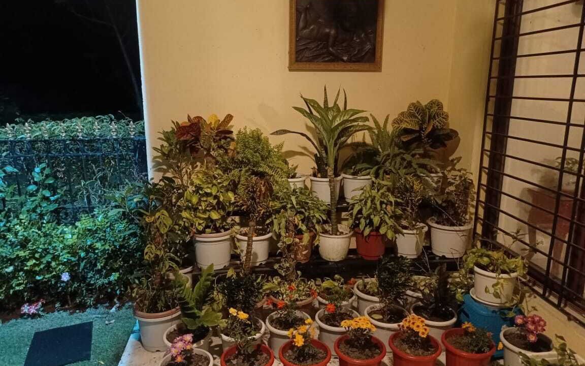 Photo of Outdoor in Vedic Village