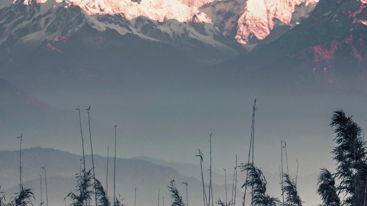 Photo of Others in Darjeeling