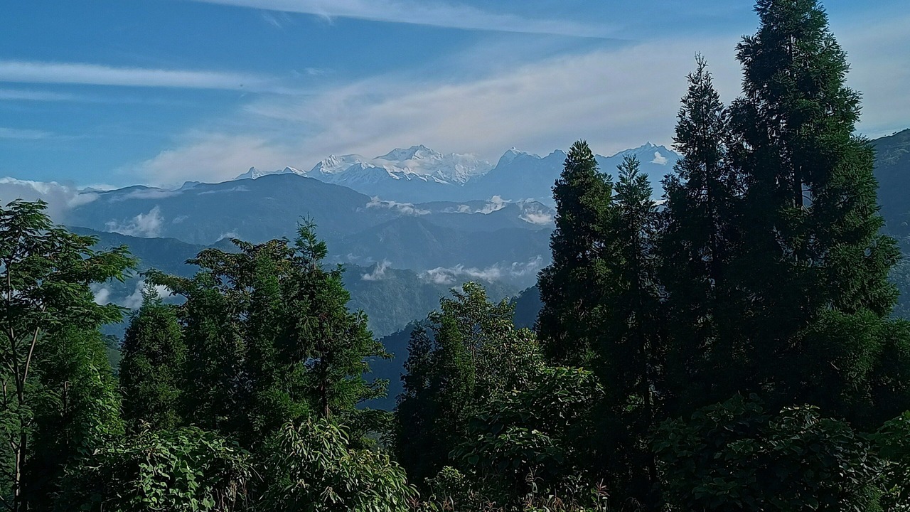 Photo of Others in Darjeeling