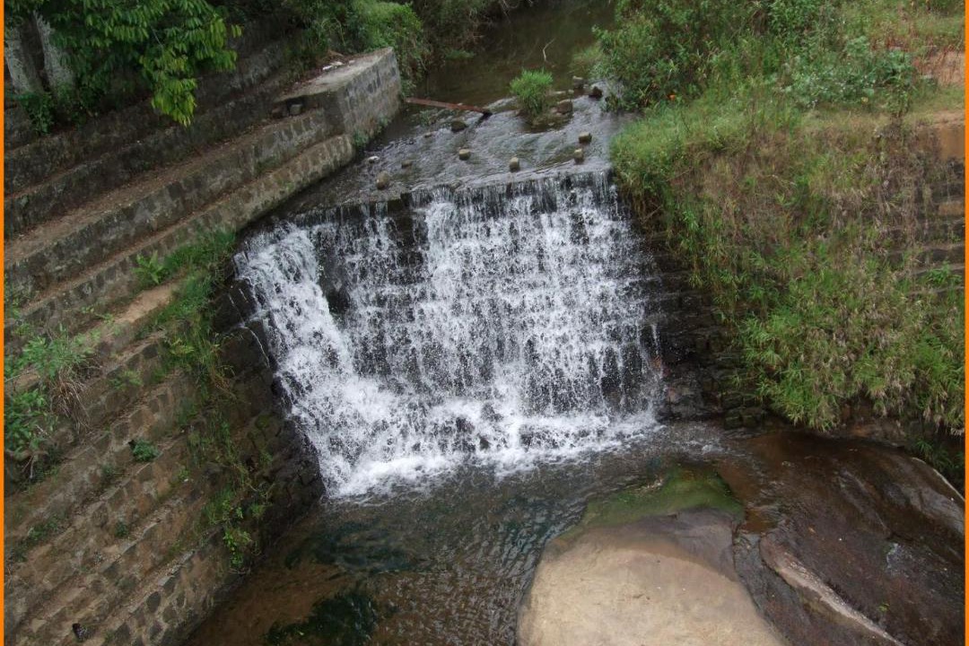 Photo of Others in Mannarkkad