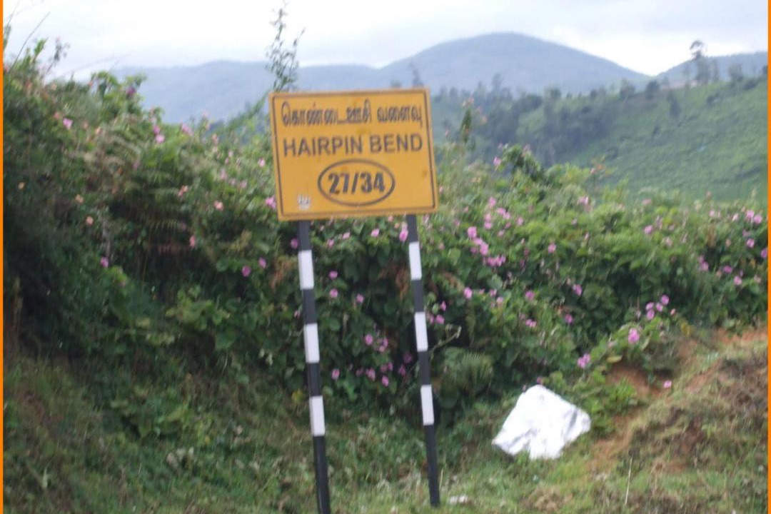 Photo of Others in Mannarkkad