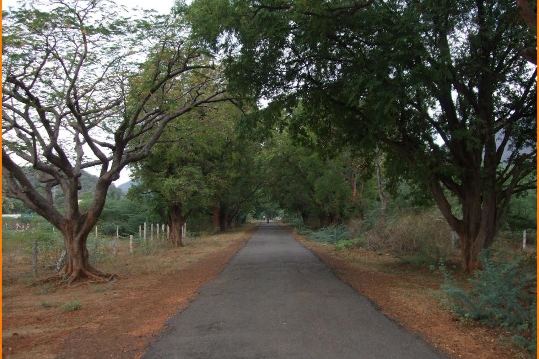 Photo of Outdoor in Mannarkkad