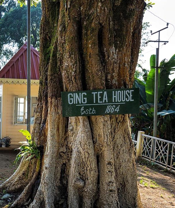 Photo of Others in Ging Tea Garden