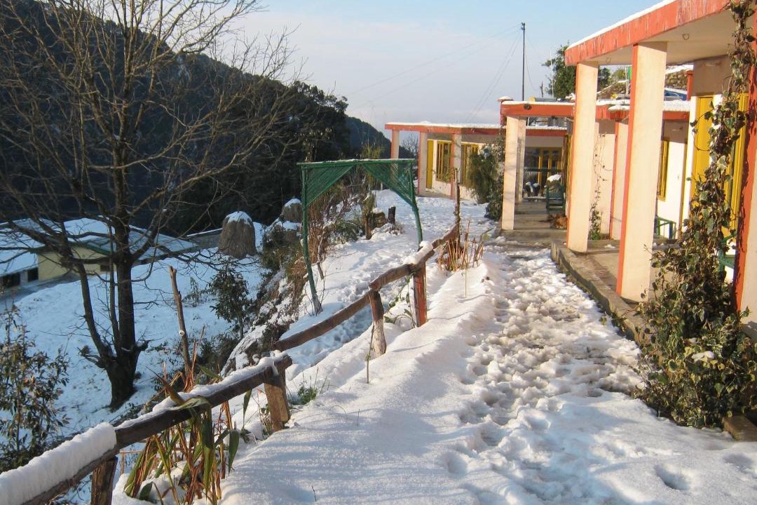 Photo of Others in Pangot