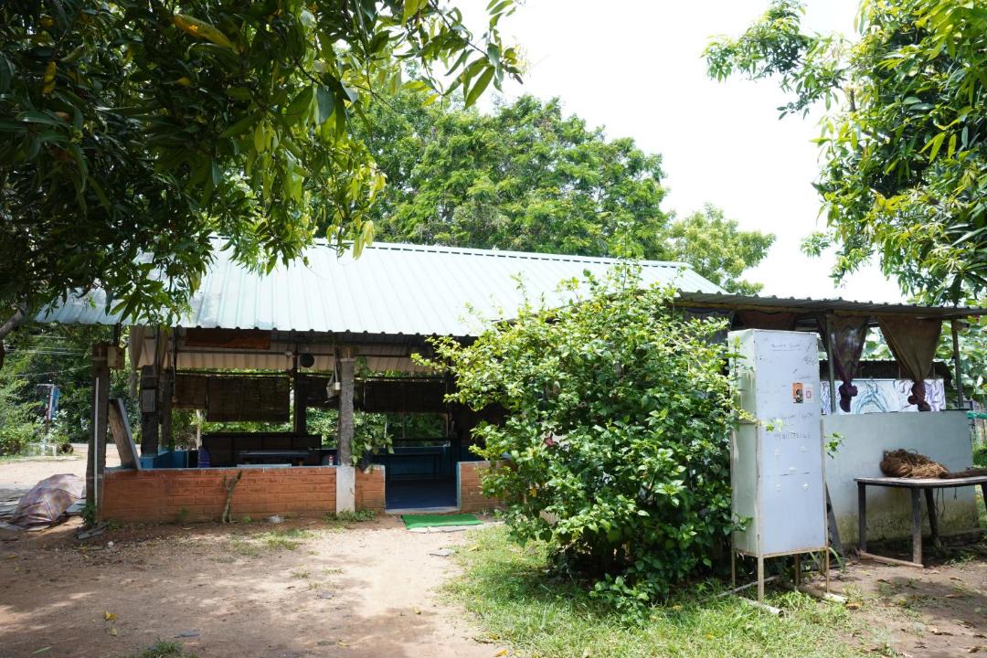 Photo of Others in Auroville