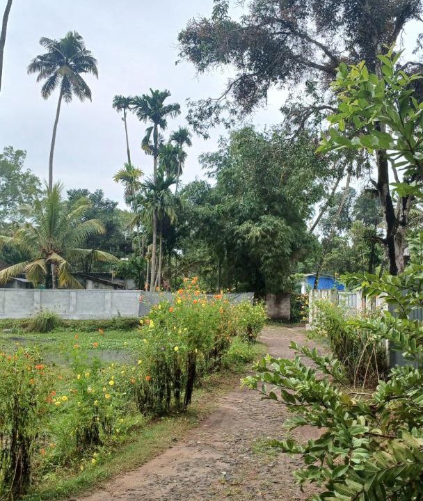 Photo of Others in Mararikulam