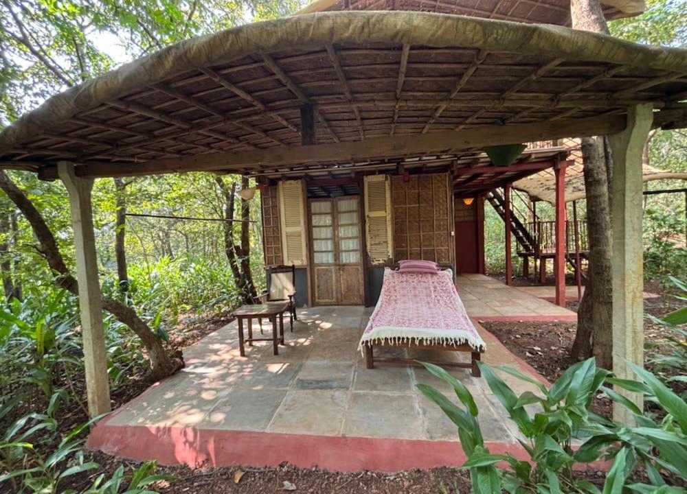 Photo of Others in Agonda