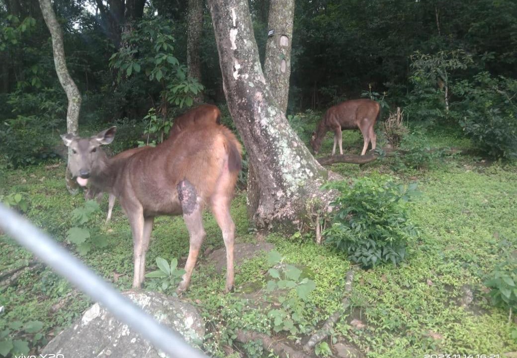 Photo of Outdoor in Maraiyur
