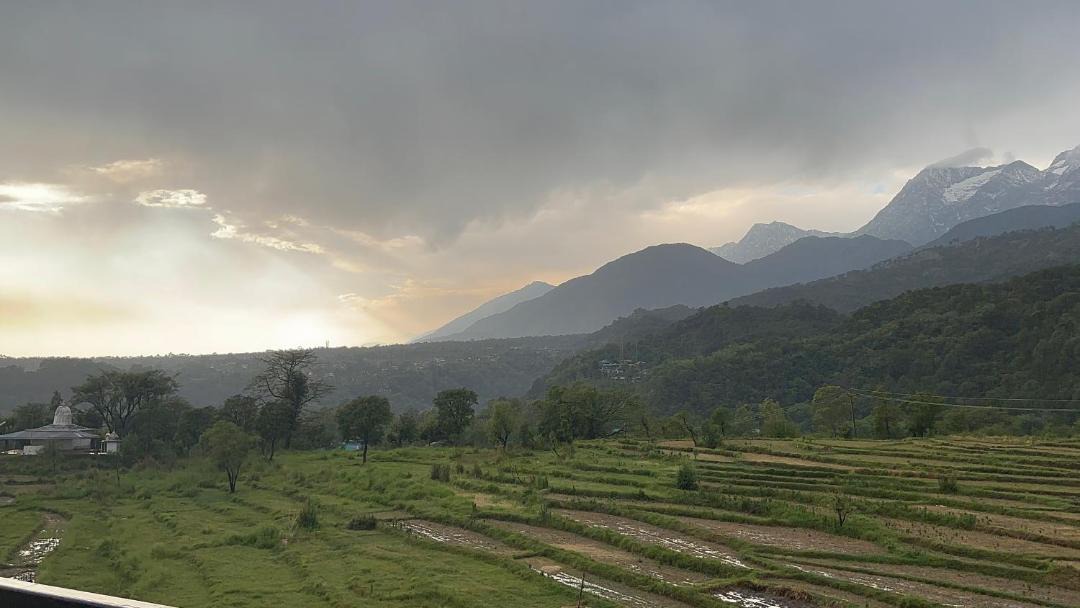Photo of Others in Palampur