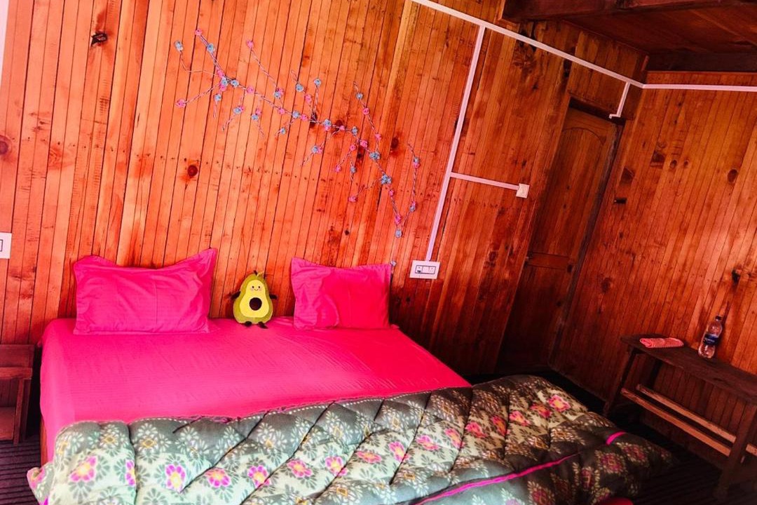 Photo of Bedroom in Shangarh
