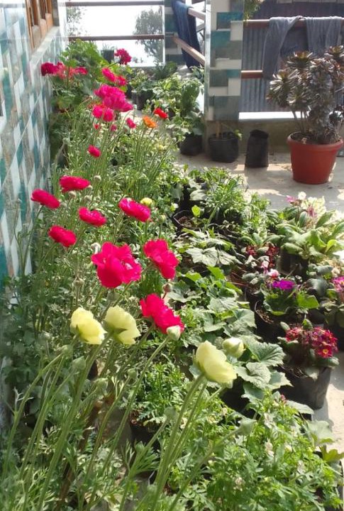 Photo of Outdoor in Ghoom
