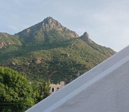 Photo of Others in Tiruvannamalai
