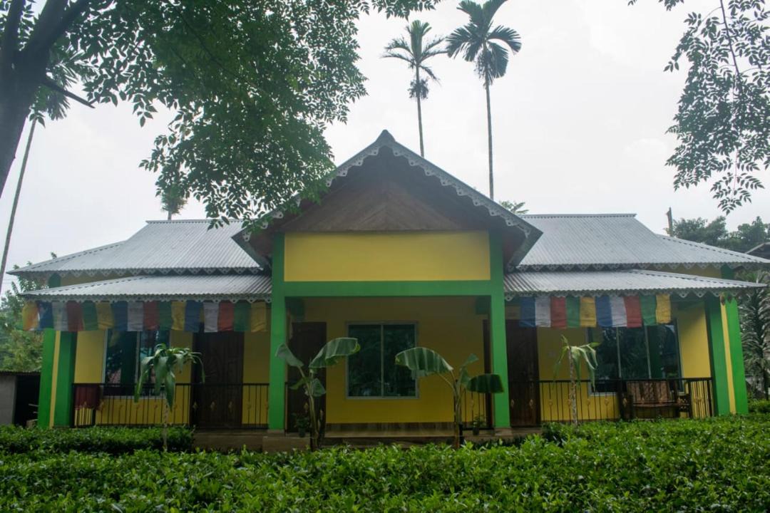 Photo of Others in Neora