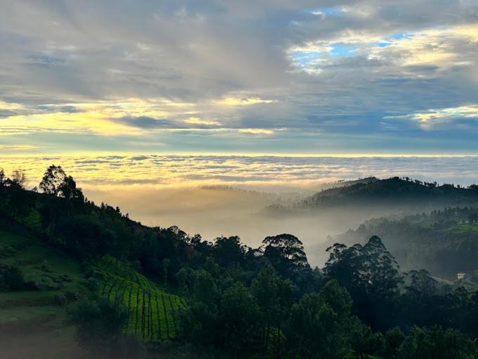 Photo of Others in Ooty