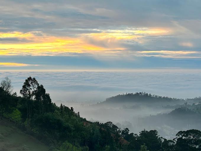 Photo of Others in Ooty