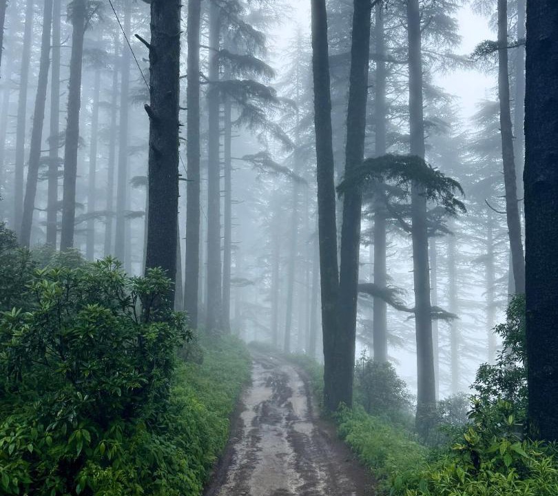 Photo of Others in Kanatal
