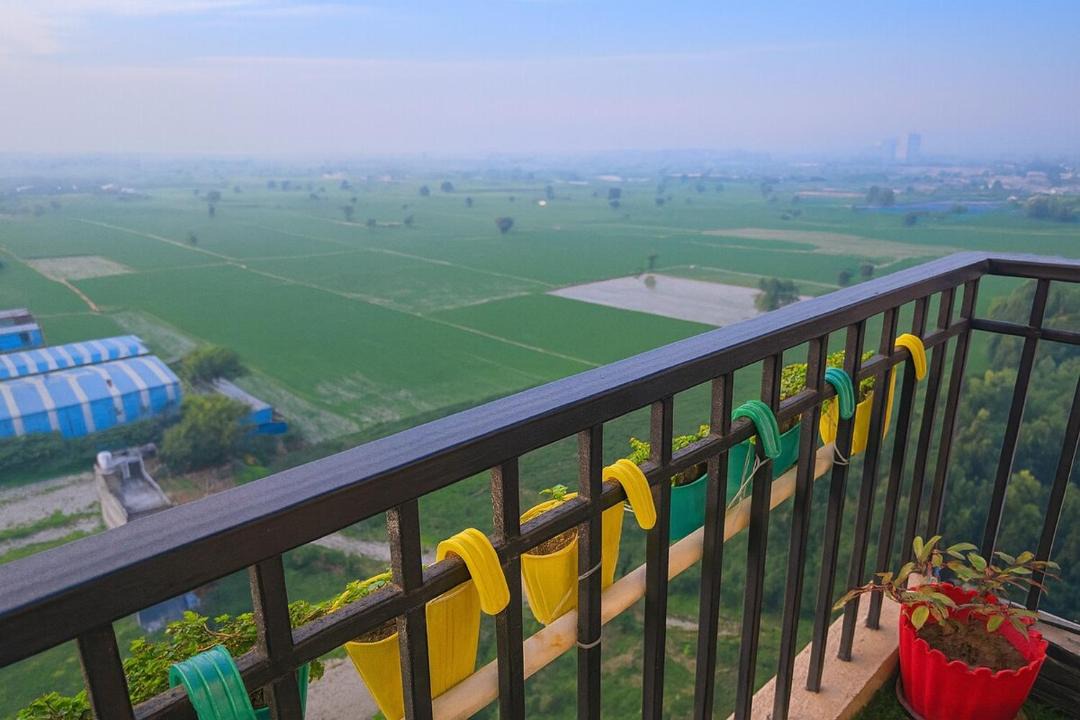 Photo of Patio Balcony in Chandigarh