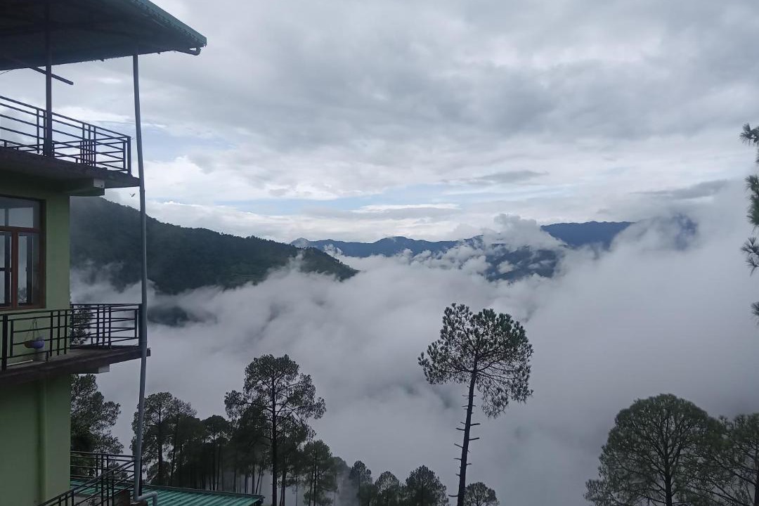 Photo of Others in Tehri