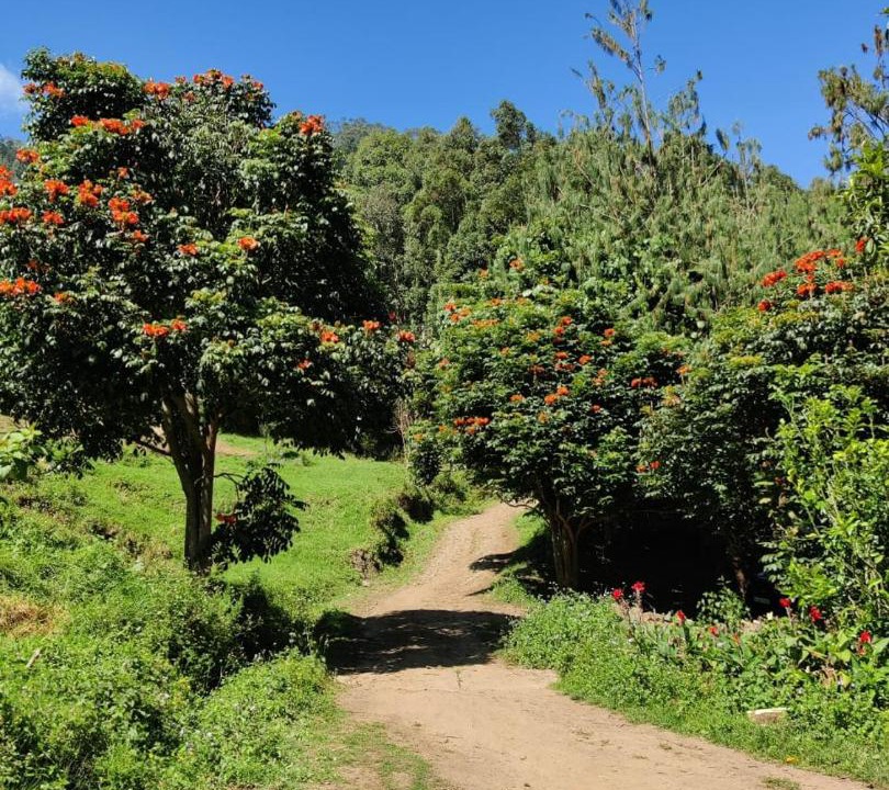 Photo of Outdoor in Periyur