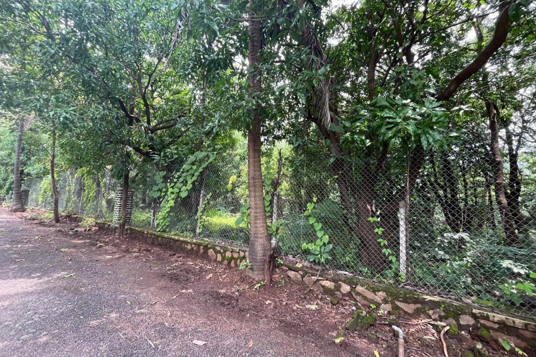 Photo of Outdoor in Murbad