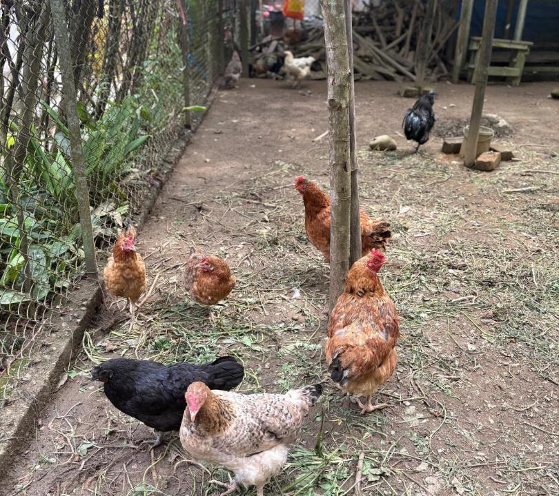 Photo of Others in Turuk