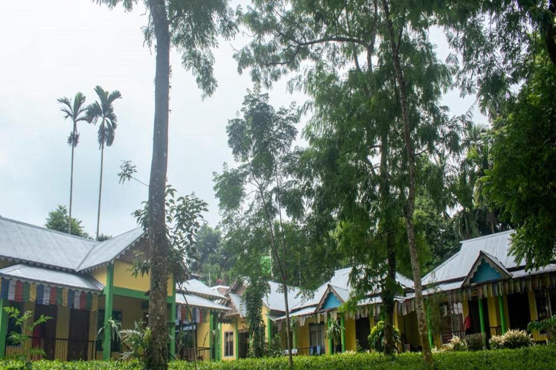Photo of Others in Neora