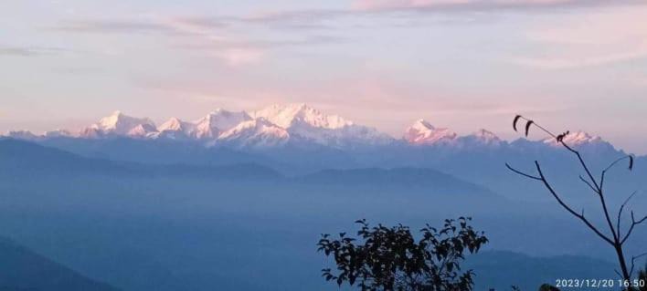 Photo of Others in Darjeeling
