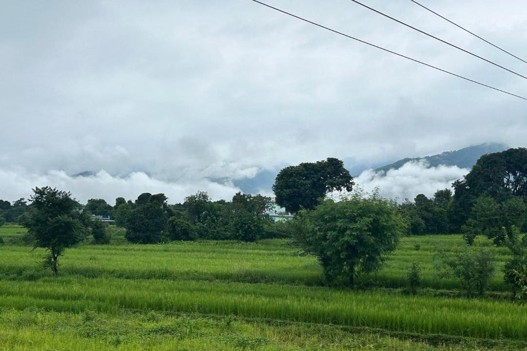 Photo of Others in Dehradun