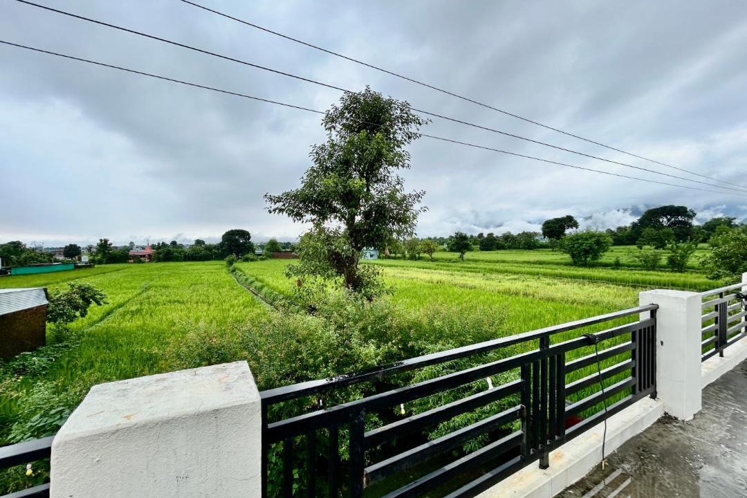 Photo of Others in Dehradun