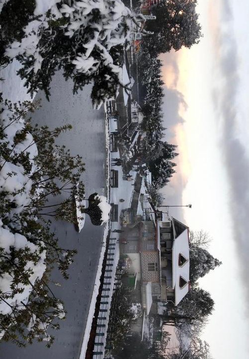 Photo of Others in Darjeeling