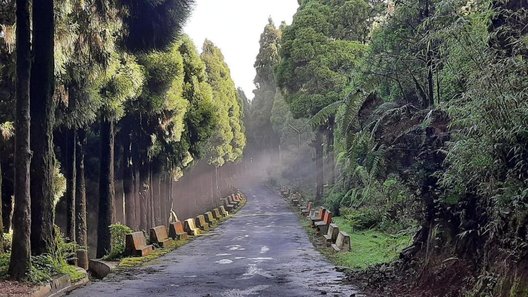 Photo of Others in Darjeeling