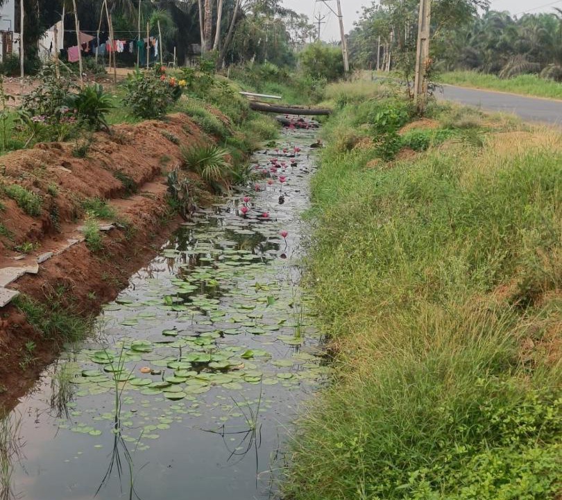 Photo of Others in Nuzvid