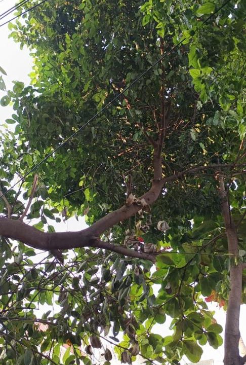 Photo of Outdoor in Vanasthalipuram