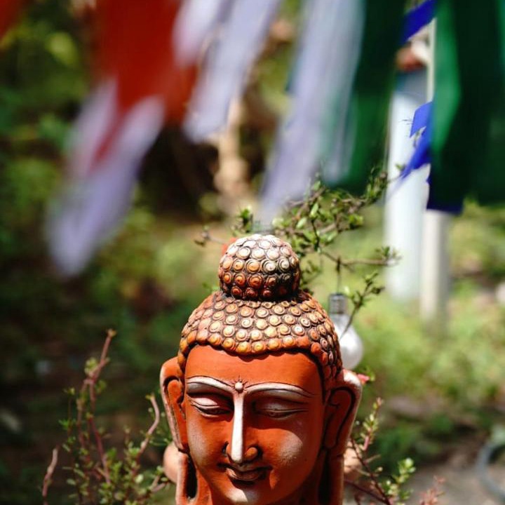 Photo of Others in Auroville