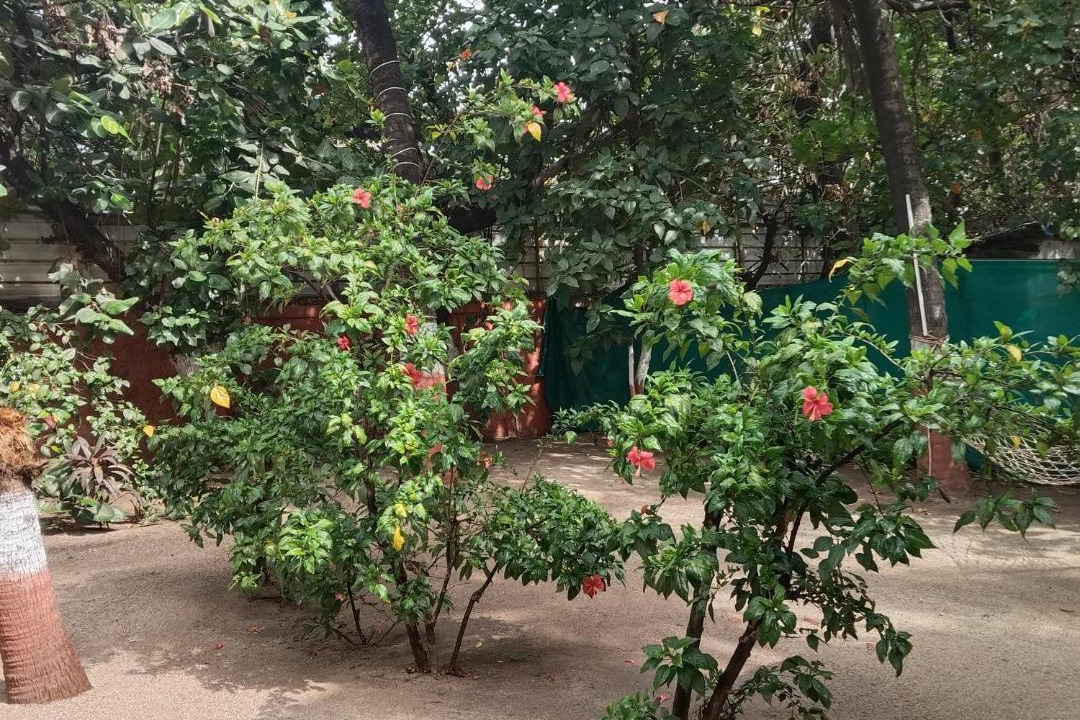 Photo of Others in Kihim