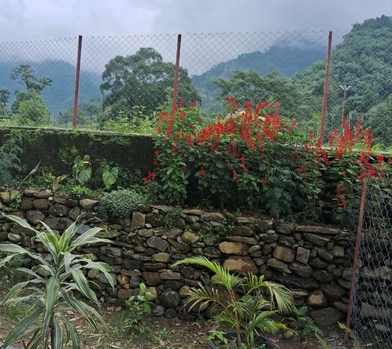 Photo of Others in Kurseong