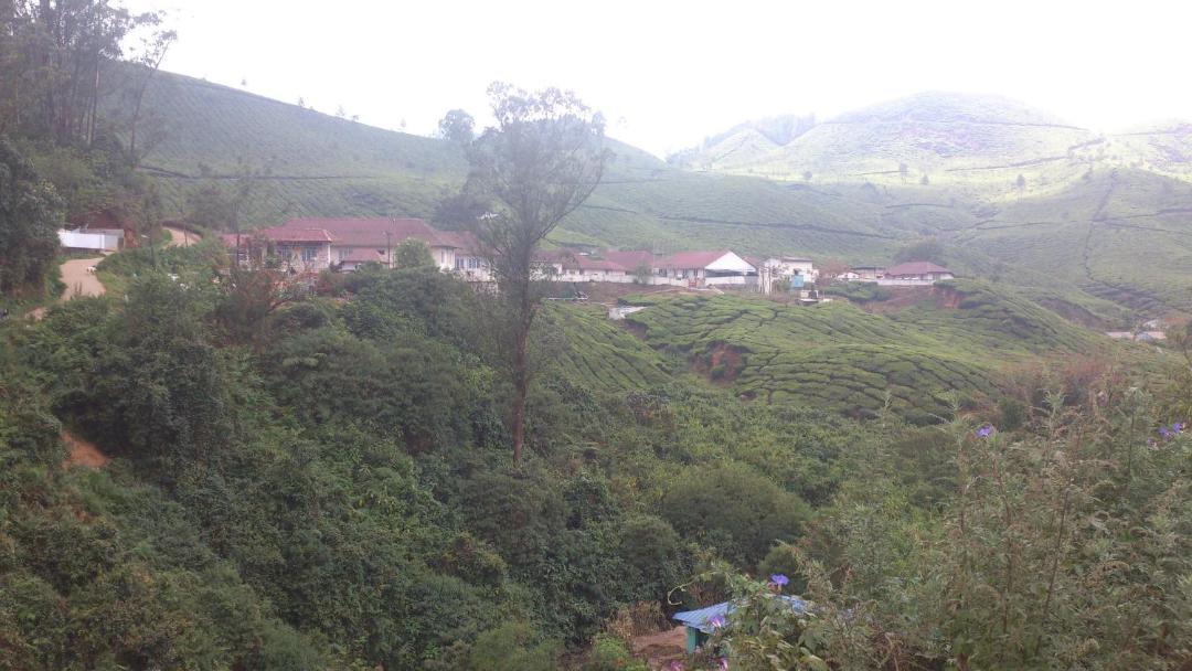 Photo of Outdoor in Nullatanni