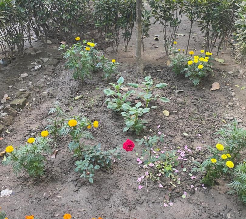 Photo of Outdoor in Sector II