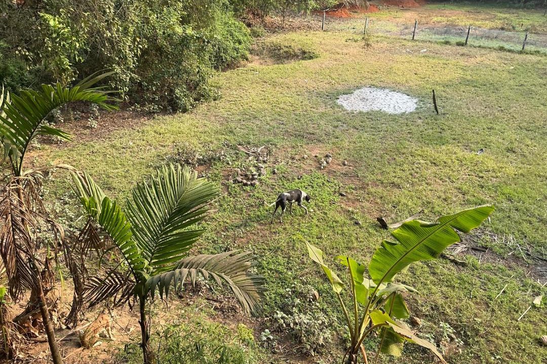 Photo of Others in Gokarna