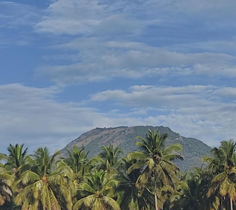 Photo of Others in Coimbatore