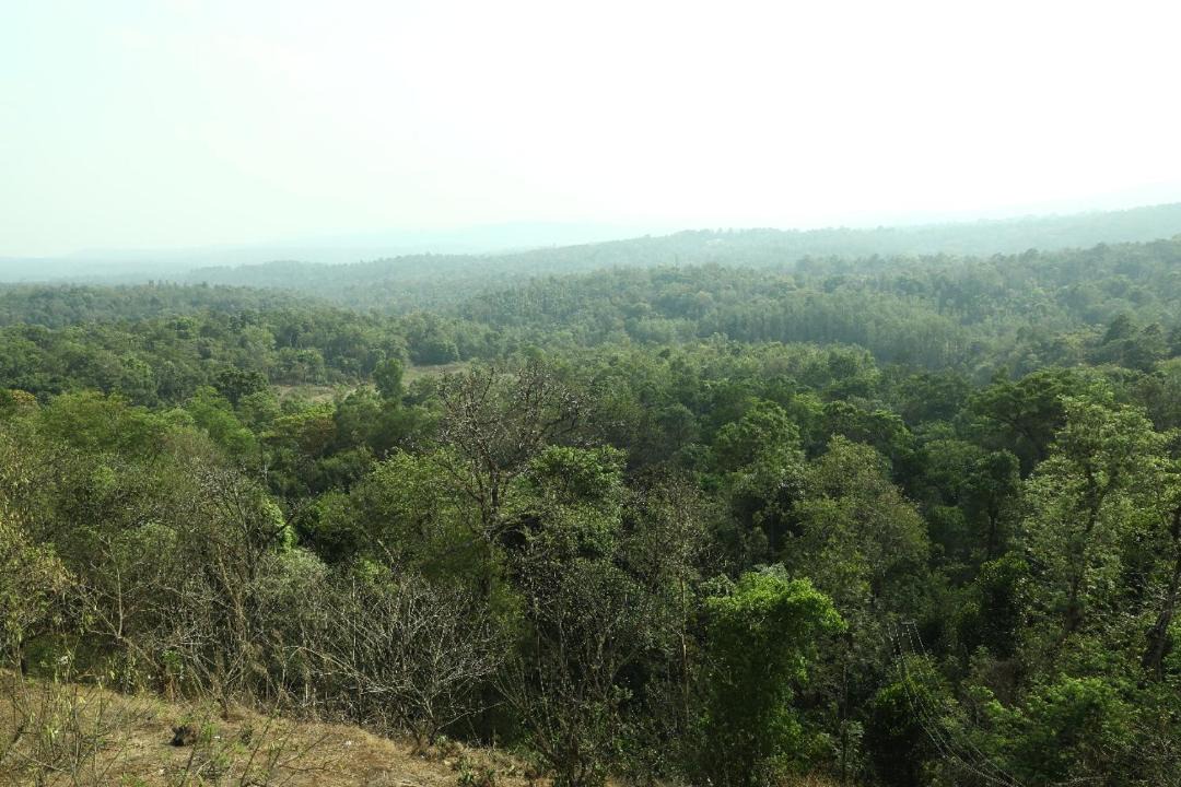 Photo of Others in Somvarpet