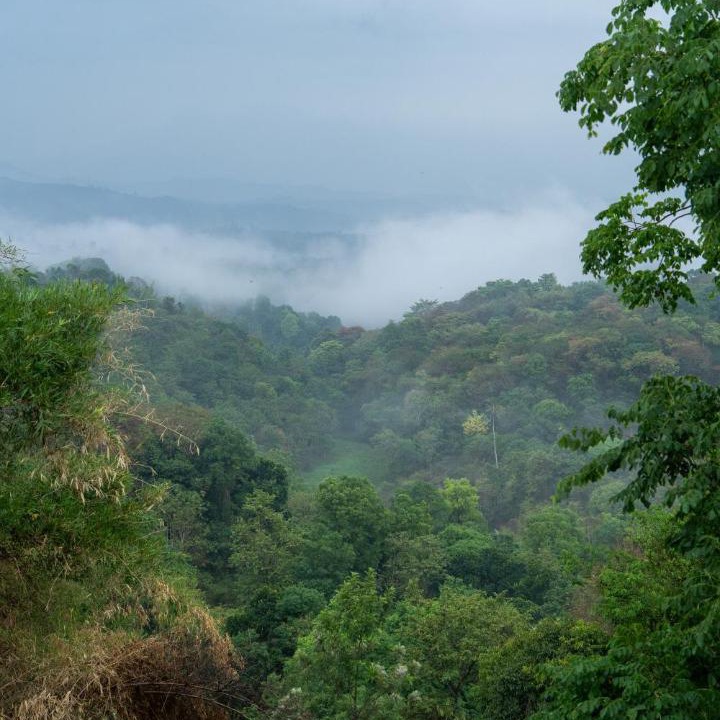 Photo of Others in Mannarkkad